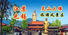 www.淫水小骚逼江苏无锡灵山大佛旅游风景区