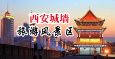 少萝舔鸡巴被c出水中国陕西-西安城墙旅游风景区